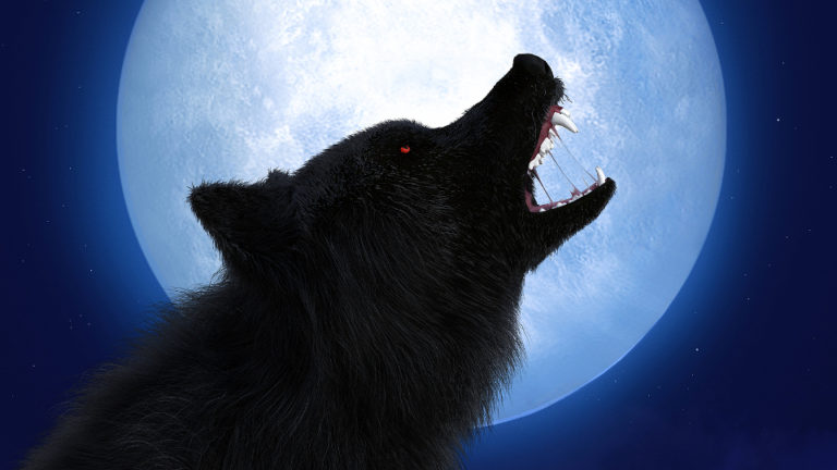 Wolf Pack: spin-off de Teen Wolf avança